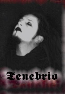 Teka Phobia : Level 0 - The Graves of All Hopes